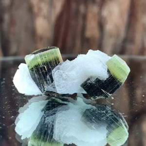 3.5cm 11g Tourmaline and Cleavelandite, Tulga Mine, Gilgit-Baltistan, Pakistan