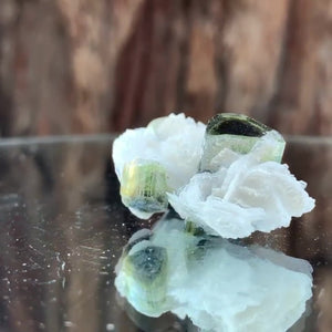 3.5cm 11g Tourmaline and Cleavelandite, Tulga Mine, Gilgit-Baltistan, Pakistan