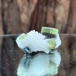 3.5cm 11g Tourmaline and Cleavelandite, Tulga Mine, Gilgit-Baltistan, Pakistan