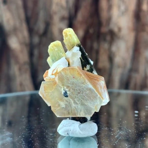 4cm 16g Tourmaline and Cleavelandite, Tulga Mine, Gilgit-Baltistan, Pakistan