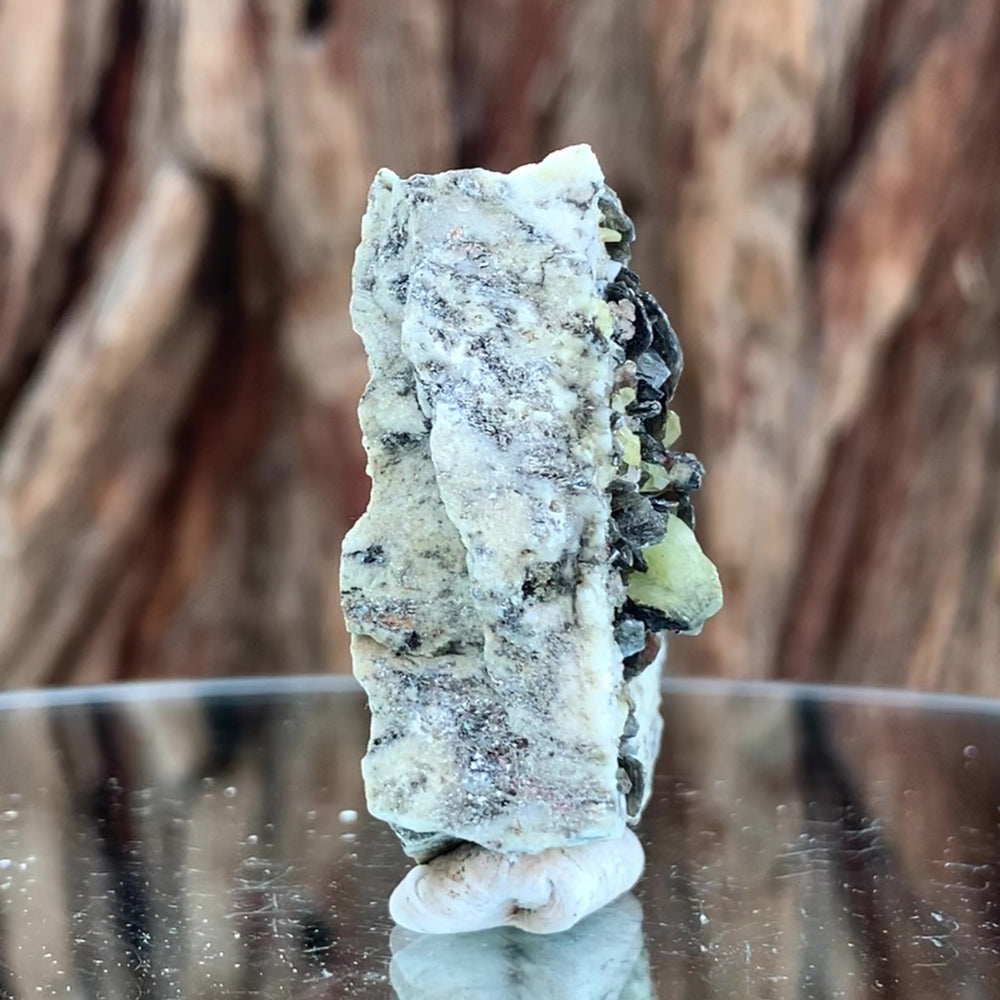 4.5cm 35g Green Sphene on Calcite from Shelisa Mine, Arundo, Shigar District, Gilgit-Baltistan, Pakistan