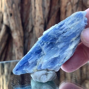 
            
                Load image into Gallery viewer, 8cm 44g Kyanite and Quartz from Brazil
            
        