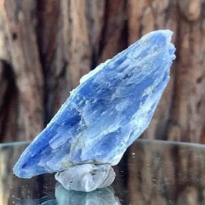 8cm 44g Kyanite and Quartz from Brazil