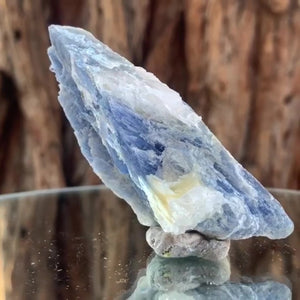 8cm 44g Kyanite and Quartz from Brazil