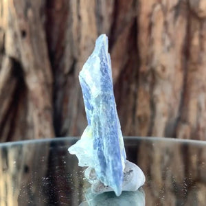 8cm 44g Kyanite and Quartz from Brazil