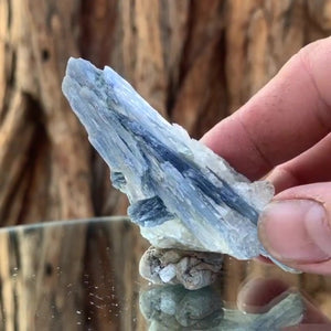 8cm 50g Kyanite and Quartz from Brazil