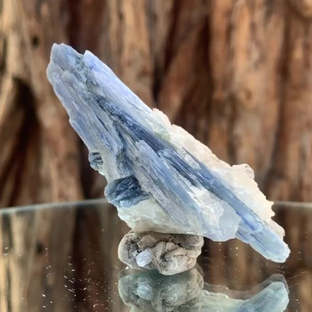 8cm 50g Kyanite and Quartz from Brazil