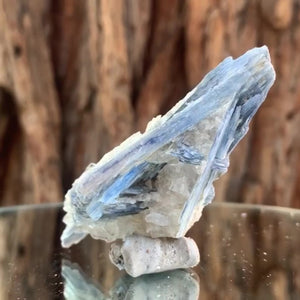 
            
                Load image into Gallery viewer, 8cm 50g Kyanite and Quartz from Brazil
            
        
