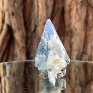 8cm 50g Kyanite and Quartz from Brazil