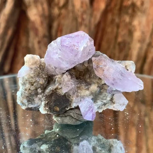 6.2cm 40g Veracruz Amethyst from Veracruz, Mexico