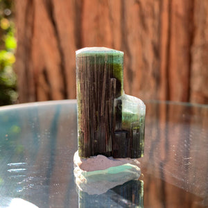 3.5cm 21g Green Cap Tourmaline from Stak Nala, Skardu, Pakistan