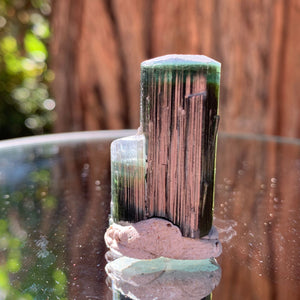 3.5cm 21g Green Cap Tourmaline from Stak Nala, Skardu, Pakistan
