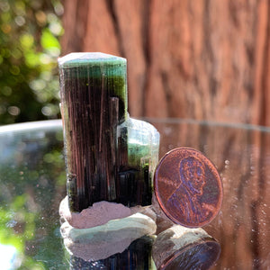 3.5cm 21g Green Cap Tourmaline from Stak Nala, Skardu, Pakistan