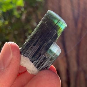 3.5cm 21g Green Cap Tourmaline from Stak Nala, Skardu, Pakistan