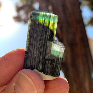 3.5cm 21g Green Cap Tourmaline from Stak Nala, Skardu, Pakistan