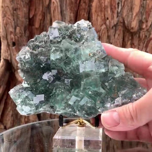 14cm 615g Clear Green Fluorite, Xianghuapu Mine, Hunan China