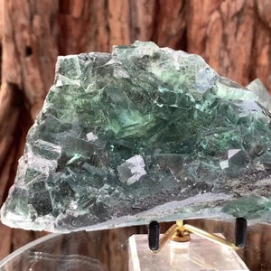 14cm 870g Clear Green Fluorite, Xianghuapu Mine, Hunan China