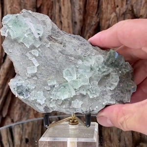 
            
                Load image into Gallery viewer, 13.5cm 250g Clear Green Fluorite from Xianghuapu Mine, Hunan, CN
            
        