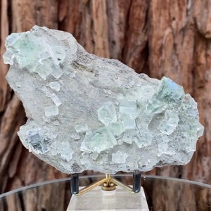 
            
                Load image into Gallery viewer, 13.5cm 250g Clear Green Fluorite from Xianghuapu Mine, Hunan, CN
            
        