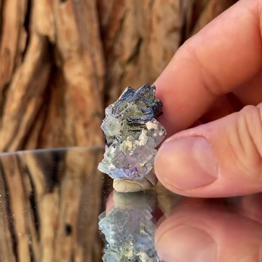3cm 12g Wolframite & Fluorite from Yaogangxian Mine, Hunan, China
