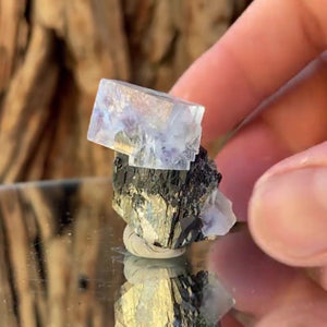3.6cm 28g Wolframite & Fluorite from Yaogangxian Mine, Hunan, China