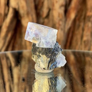3.6cm 28g Wolframite & Fluorite from Yaogangxian Mine, Hunan, China
