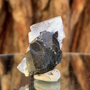 3.6cm 28g Wolframite & Fluorite from Yaogangxian Mine, Hunan, China
