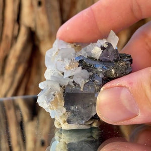 4.9cm 60g Wolframite & Quartz Fluorite Calcite from Yaogangxian Mine, Hunan, China