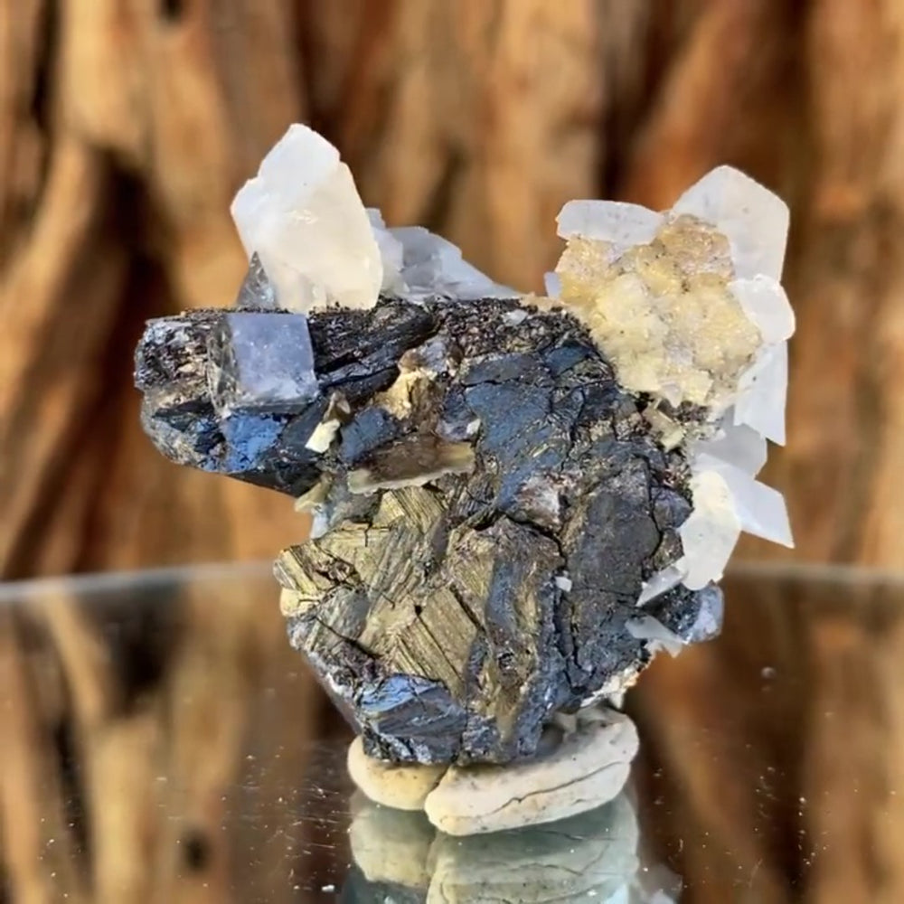 
            
                Load image into Gallery viewer, 4.9cm 60g Wolframite, Quartz, Fluorite, Calcite from Yaogangxian Mine, Hunan, China
            
        