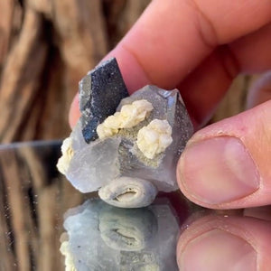3.8cm 31g Wolframite & Quartz from Yaogangxian Mine, Hunan, China