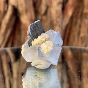 3.8cm 31g Wolframite & Quartz from Yaogangxian Mine, Hunan, China