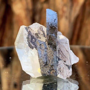 3.8cm 31g Wolframite & Quartz from Yaogangxian Mine, Hunan, China