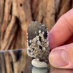 4cm 10g Wolframite & Quartz from Yaogangxian Mine, Hunan, China