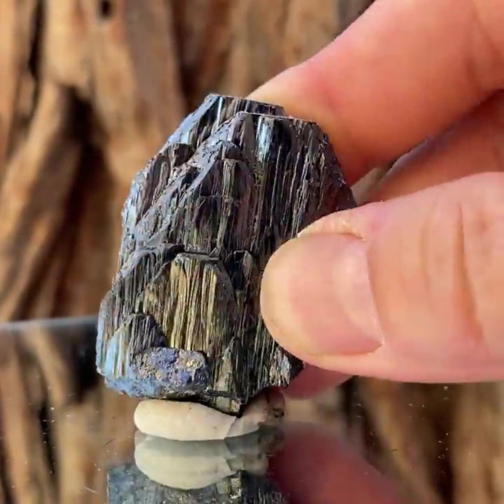 4.8cm 66g Wolframite from Yaogangxian Mine, Hunan, China