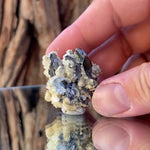 3.5cm 22g Wolframite & Fluorite, Calcite from Yaogangxian Mine, Hunan, China