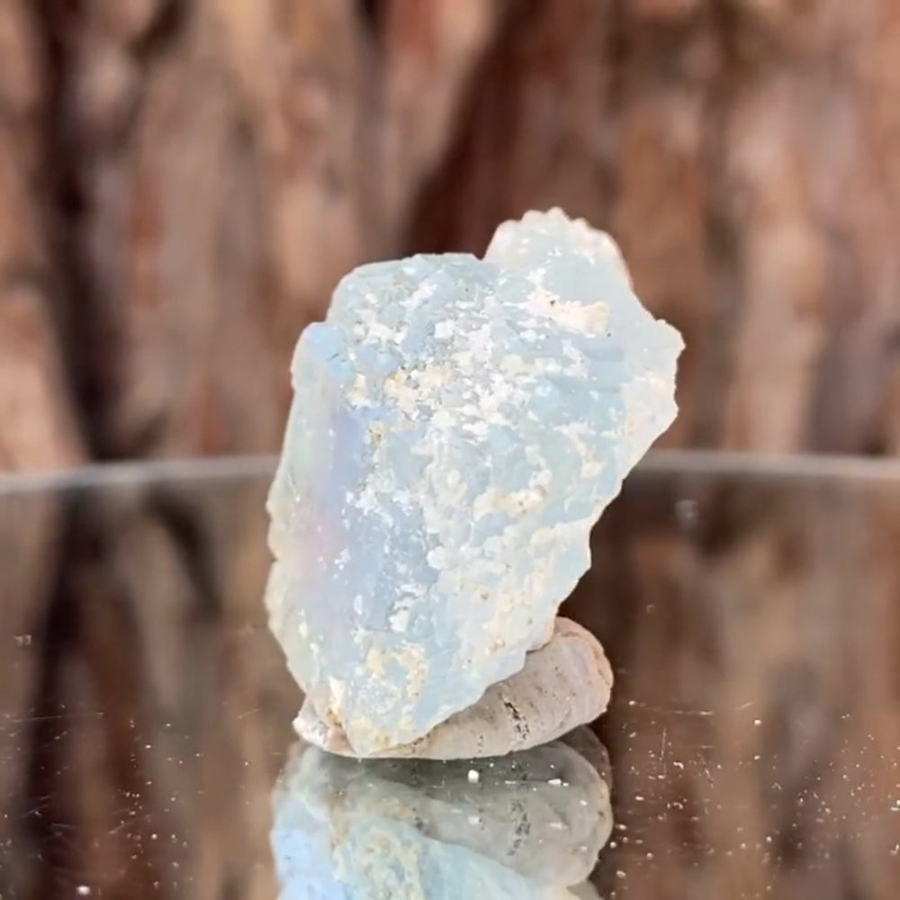 3.2cm 24g Blue Fluorite from Xianghuapu Mine, Hunan, CN