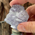 5.4cm 82g Purple Fluorite from Yaogangixan Mine, Hunan, China