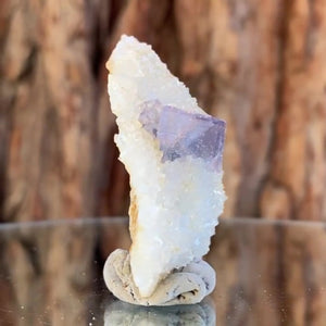 
            
                Load image into Gallery viewer, 5.5cm 40g Clear Fluorite and Quartz from Xianghuapu Mine, Hunan, CN
            
        
