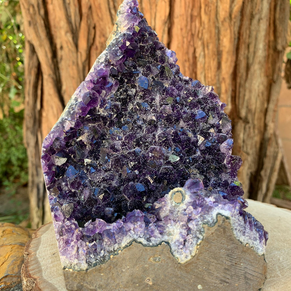 16.5cm 2.27kg Amethyst Cluster from Uruguay