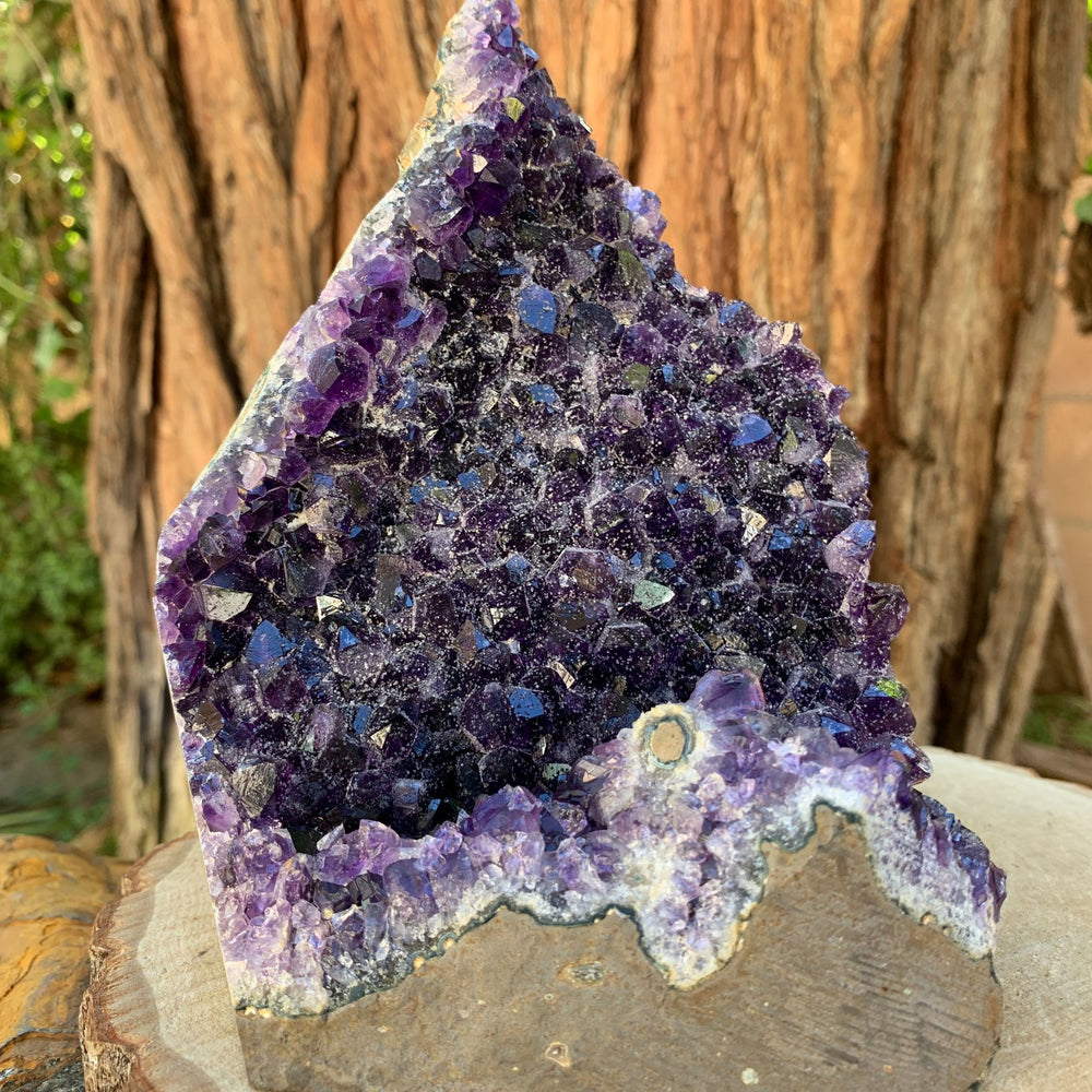 
            
                Load image into Gallery viewer, 16.5cm 2.27kg Amethyst Cluster from Uruguay
            
        