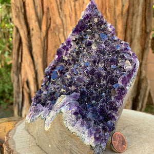 16.5cm 2.27kg Amethyst Cluster from Uruguay