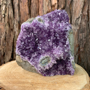 16cm 2.5kg Amethyst Cluster from Uruguay