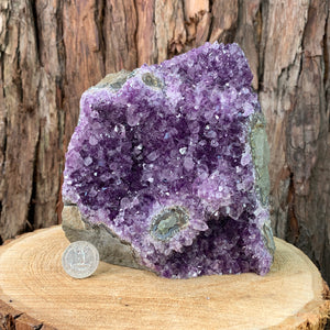 16cm 2.5kg Amethyst Cluster from Uruguay