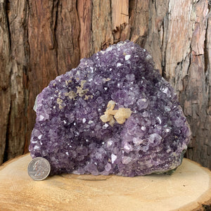 17.5cm 4kg Amethyst in Geode from Brazil