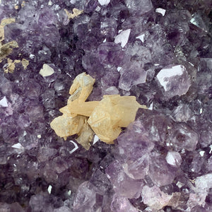 17.5cm 4kg Amethyst in Geode from Brazil