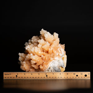2.85kg 18cm Aragonite Cave Calcite Crystal Cluster Mineral Specimen, Morocco