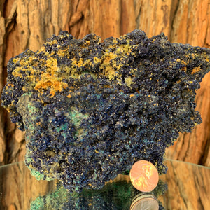 992g 15.5cm Azurite and Malachite from Bou Beker, Morocco