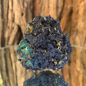 5.3cm 68g Azurite and Malachite from Bou Beker, Morocco