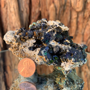 10.2cm 246g Azurite, Quartz from Bou Beker, Morocco