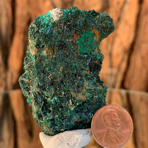 6cm 60g Brochantite and Rosasite from Bou Beker, Morocco